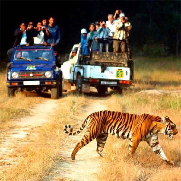Jaipur Ranthambore Tour Packages
