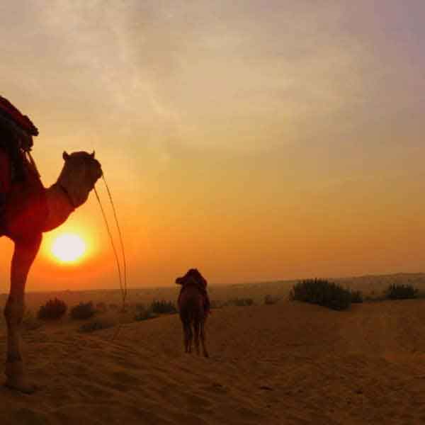 Jaipur –Bikaner – Jaisalmer Jodhpur Tour Packages