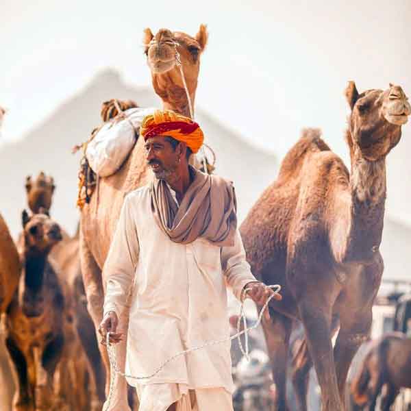 Jaipur –Pushkar – Udaipur Tour Packages